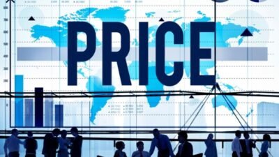 Localized Pricing Strategy